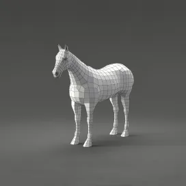 Horse 2